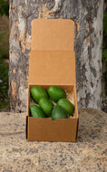 Load image into Gallery viewer, 12 Avocados Shipment Box
