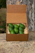 Load image into Gallery viewer, 16 Avocados Shipment Box
