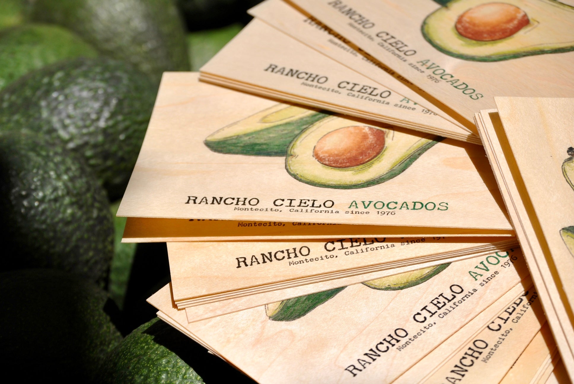The Gift Card ... because sometimes The Gift Card is the best gift!