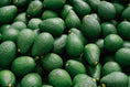 Load image into Gallery viewer, It's A Party...with a case of 16 Avocados!
