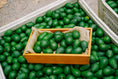 Load image into Gallery viewer, 12 Avocados...for the Win!
